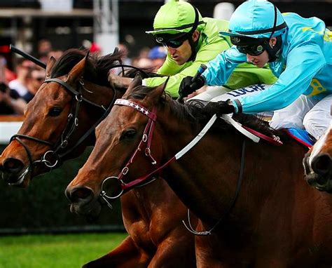 bet village|thoroughbred village racing forum.